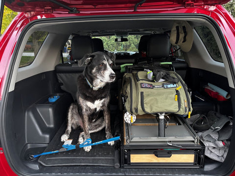 toyota 4runner cargo rear drawers closed with frisby gear and dog